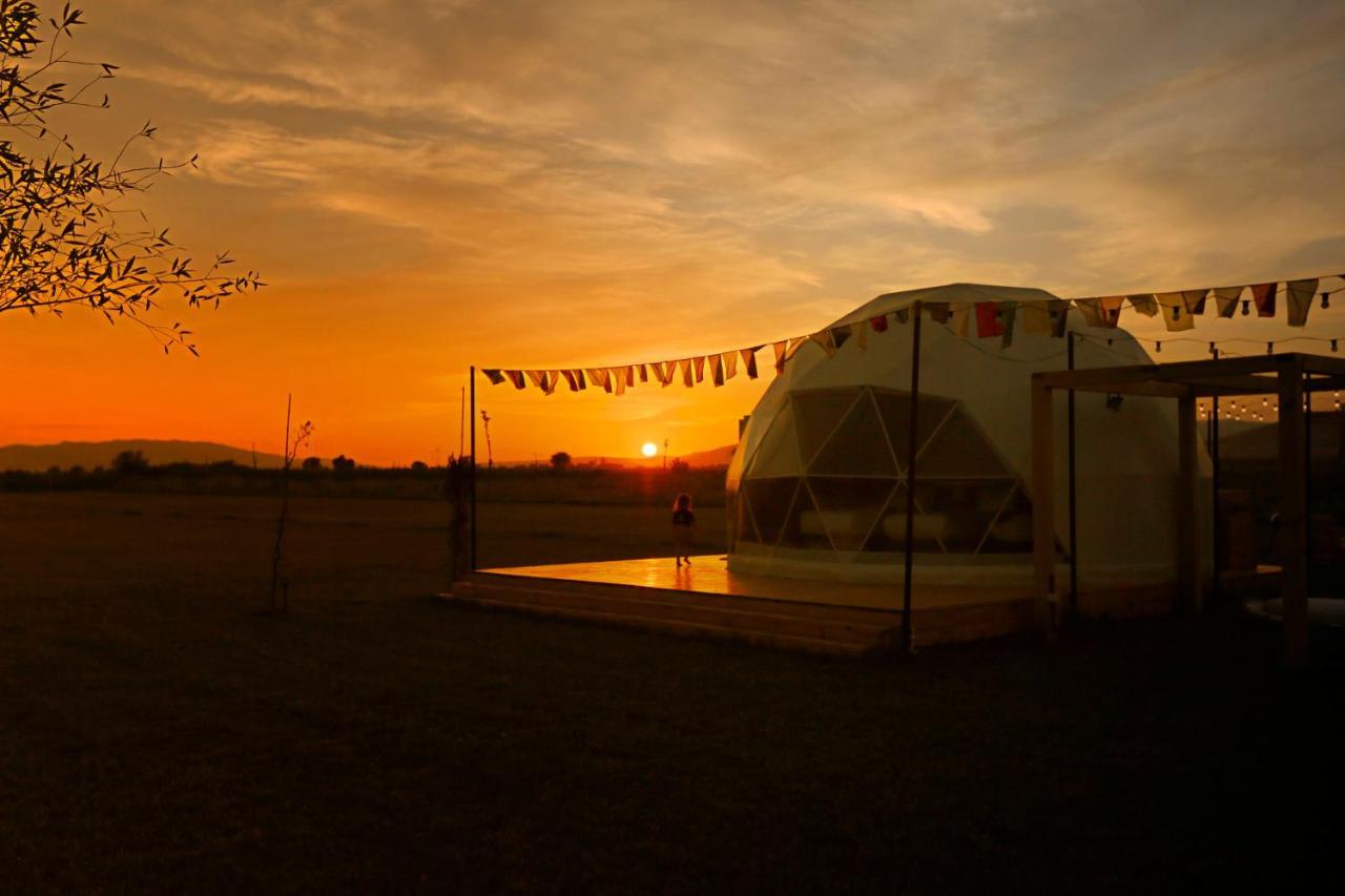 Jewelberry Glamping Hotel Tbilisi มซเคทา ภายนอก รูปภาพ