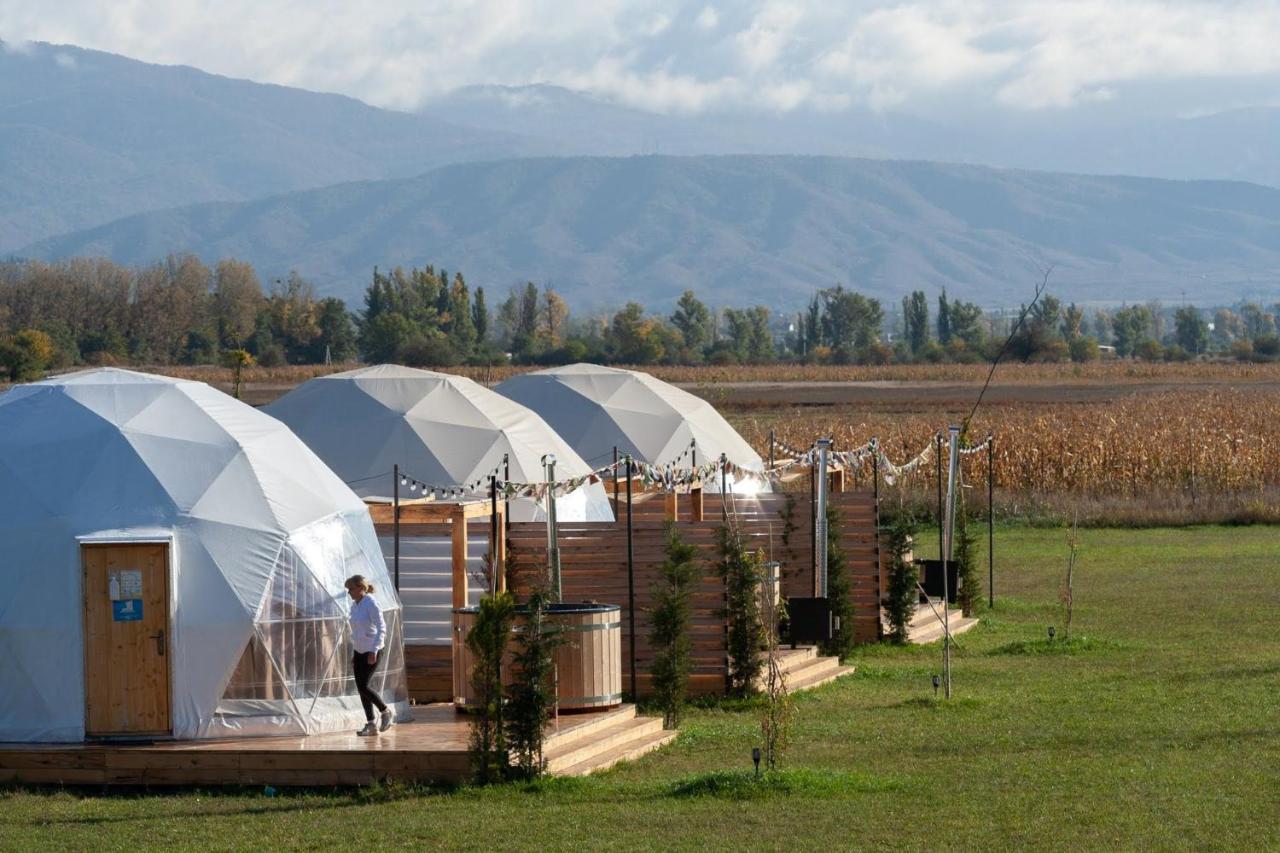Jewelberry Glamping Hotel Tbilisi มซเคทา ภายนอก รูปภาพ